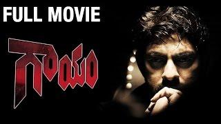 Gaayam Telugu Full Movie watch online free, Jagapati Babu , Revathi , Urmila Matondkar