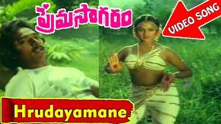 Hrudayamane Video Song - Prema Sagaram Telugu Movie - Ramesh, Nalini - V9videos