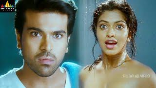 Naayak Movie Amala Paul Intro | Ram Charan | Latest Telugu Scenes