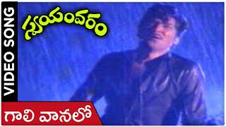 Gali Vanalo Video Song | Swayamvaram Movie | Shoban Babu | Jayapradha