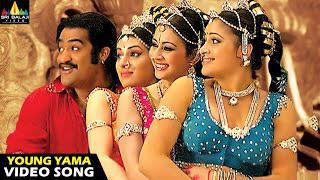 Yamadonga video Songs, Young Yama Video Song, Jr NTR, Navneeth Kaur, Archana