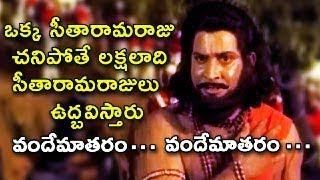 Alluri SethaRamaRaju SuperHit Climax Scene | అల్లూరి సీతారామరాజు | Krishna